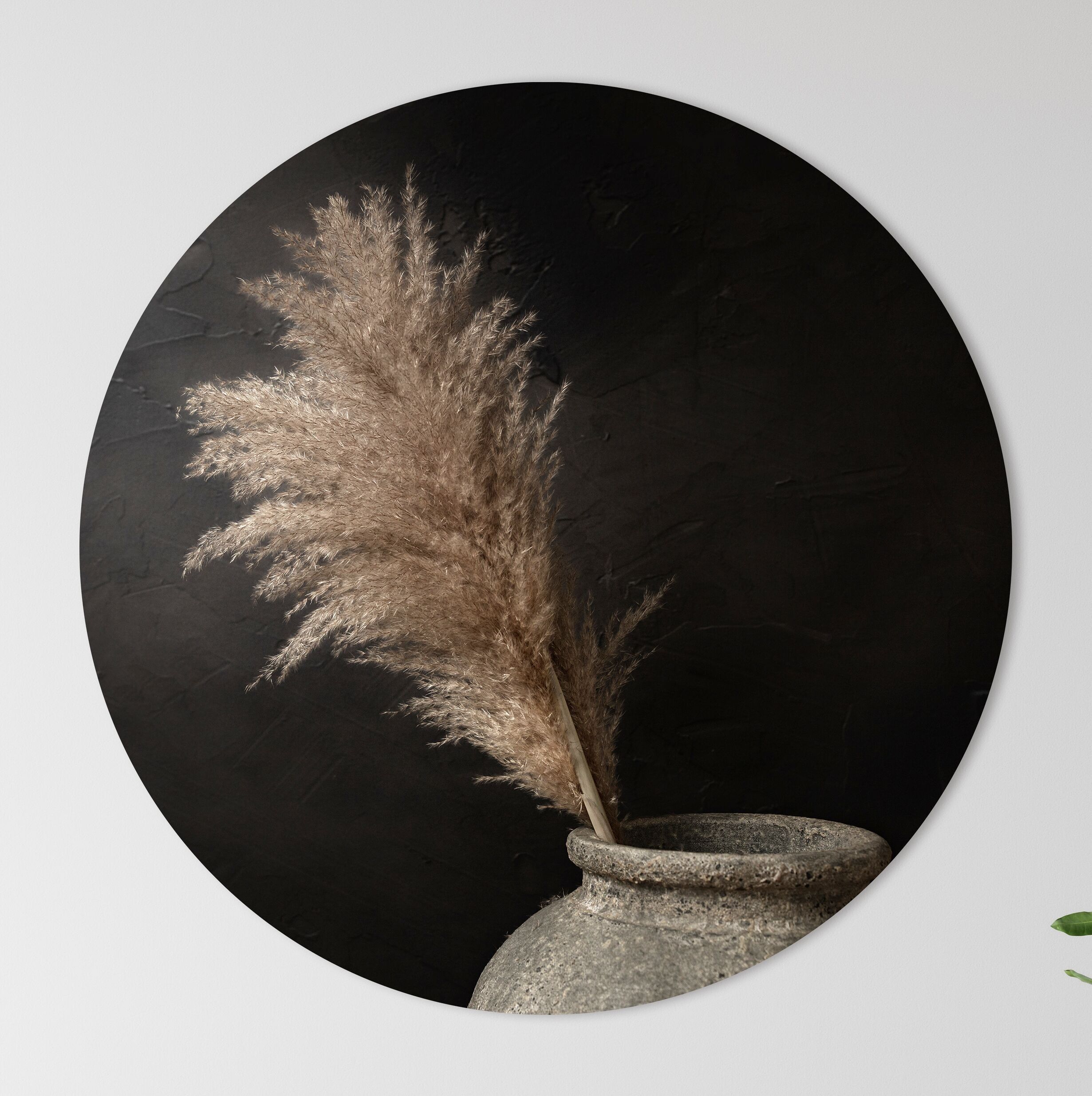 Cerchio da parete - Pampa - Qualità Premium Dibond