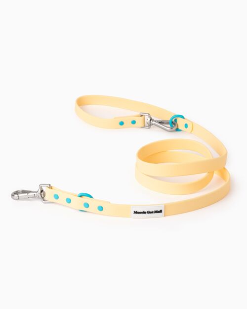 Butter Yellow Color Block Waterproof Daily Dog Leash