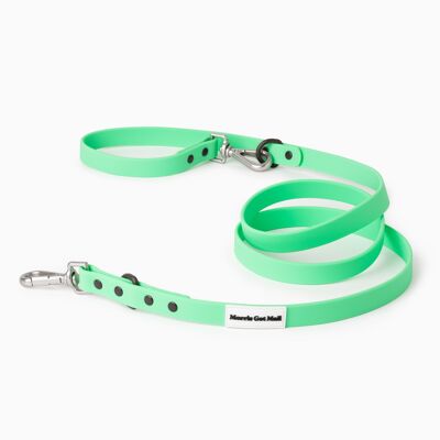 Spearmint Green Color Block Waterproof Daily Dog Leash