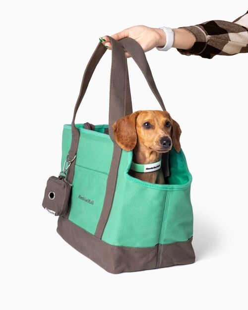 Forest Green & Dark Brown Cotton Canvas Dog Carrier Places To Go Tote