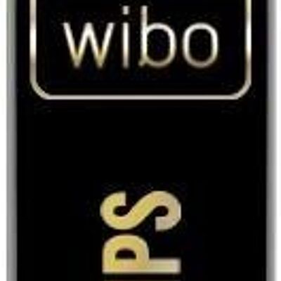WIBO MATTE LIPGLOSS MILLION DOLLAR LIPS 1