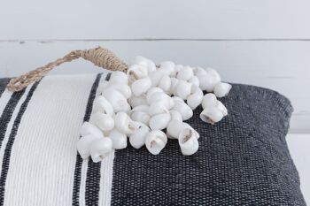 Lot de coquillages blanc 2