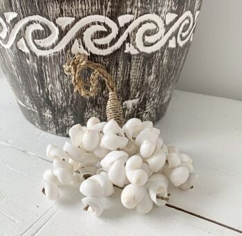 Lot de coquillages blanc 3