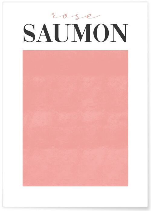 Affiche Rose Saumon