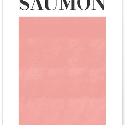 Affiche Rose Saumon