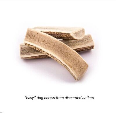 Sliced deer antler