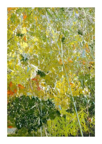 Photographie et technique mixte, réalisée par les frères Legorburu, reproduction, série ouverte, signée. Forêt 5