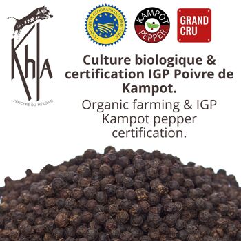 Poivre noir de Kampot-IGP-Bio-Premium-en grain 45 g moulin 3