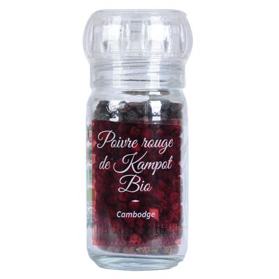 Poivre noir BIO en grain pot 30g - Spices - DELICATESSEN