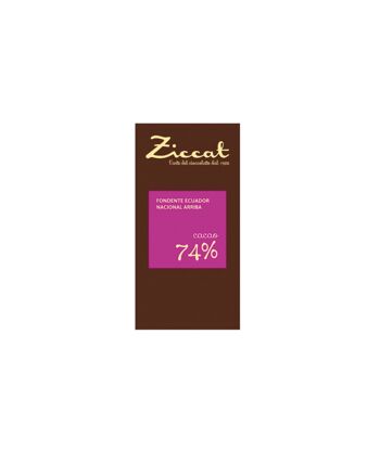 Tablette de chocolat mono origine Equateur 74% - 70g 1
