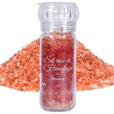 Himalayan Pink Salt - in grains - 100g - Mill