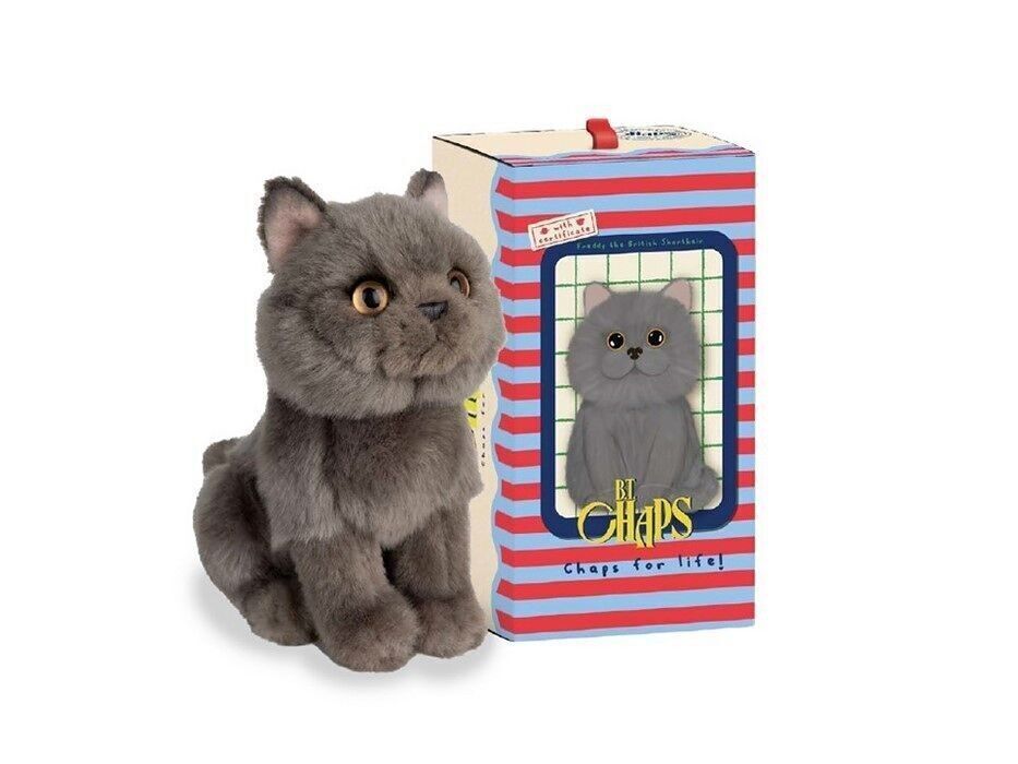 BTC - Freddy il British Shorthair seduto in confezione regalo - 17 cm - %