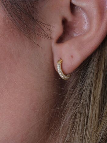 Pendientes rui 2