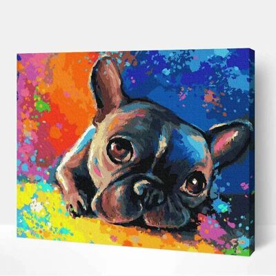Dipinto premium con numeri - Piccolo bulldog 40 x 50 cm con cornice in legno