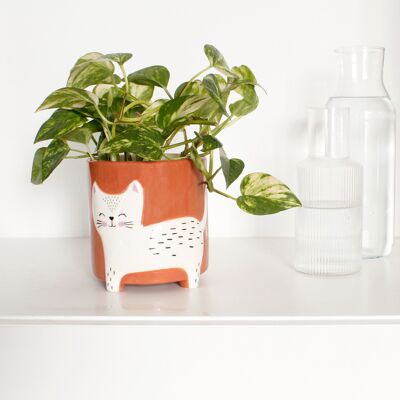 Animal flower pots cat