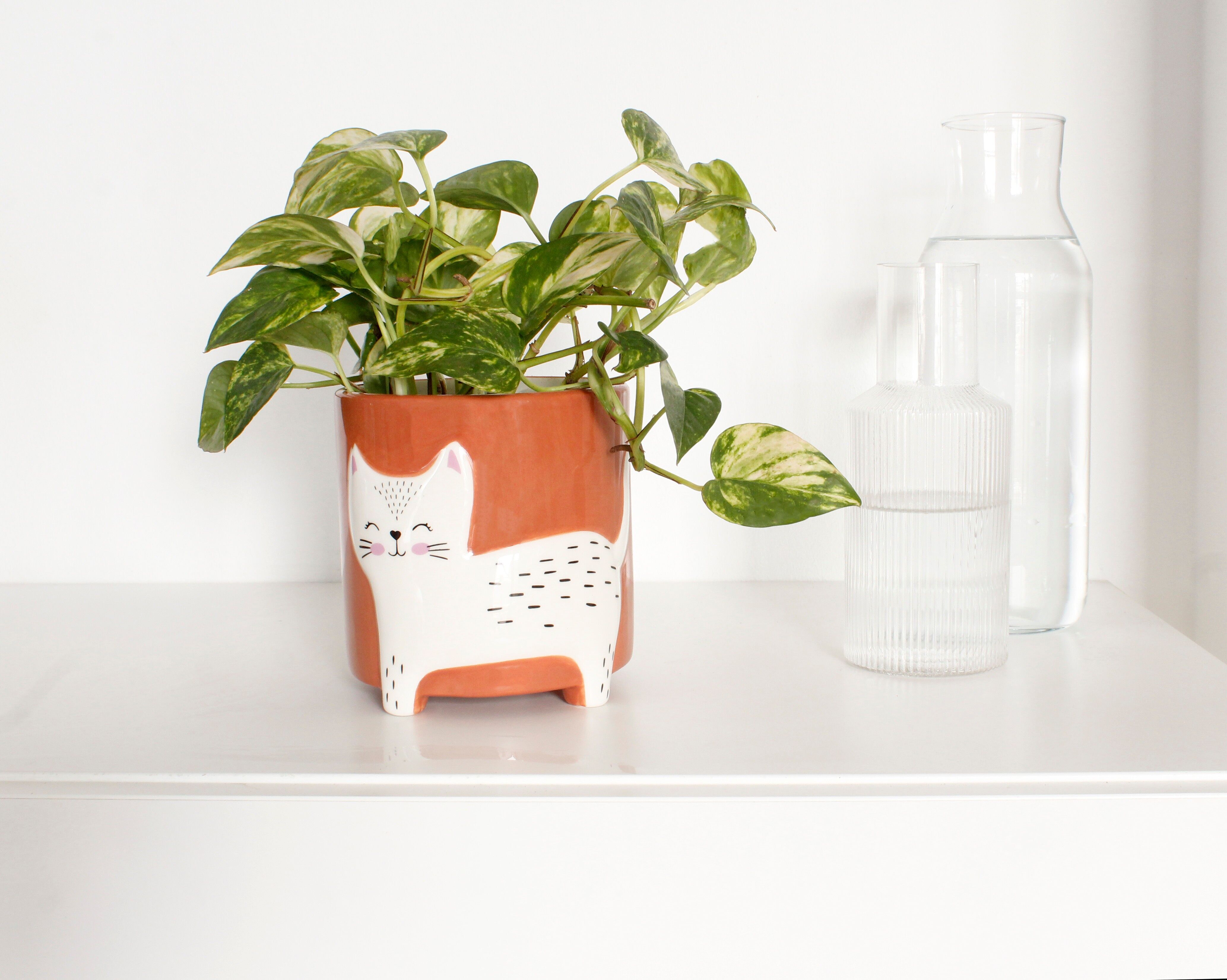 Vasi da fiori con animali gatto