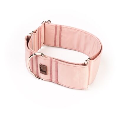 Collar Martingale Waterproof