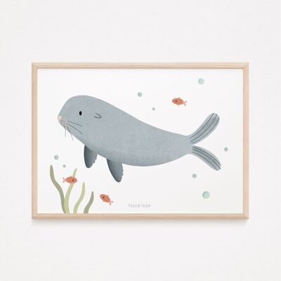 Poster Robbe - Meer Kinderbild Seehund Kinderzimmer