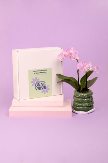 Box modelage & jardinage - Réalise ton pot de fleurs et sème tes plantes aromatiques ! - lot de 5