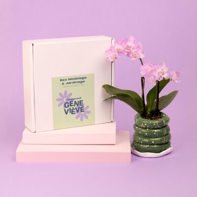 Box modelage & jardinage - Réalise ton pot de fleurs et sème tes plantes aromatiques ! - lot de 5