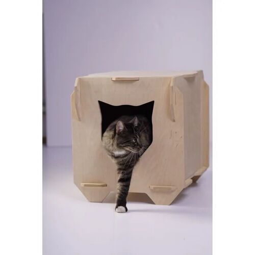 Cat house