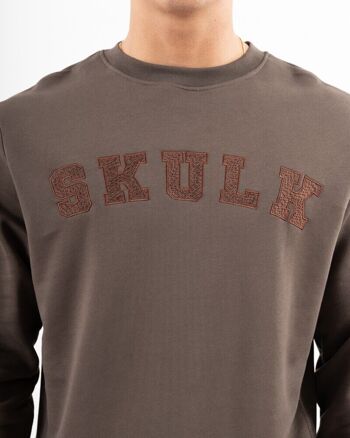 Sweat Colegial Marron 3