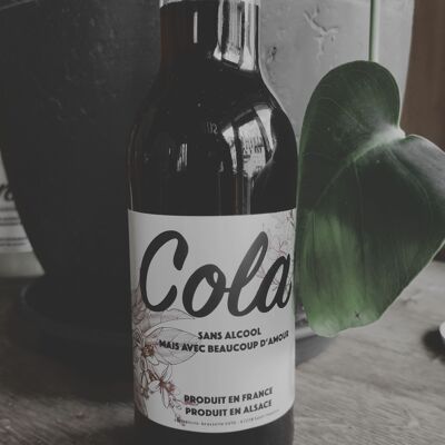 Cola artigianale