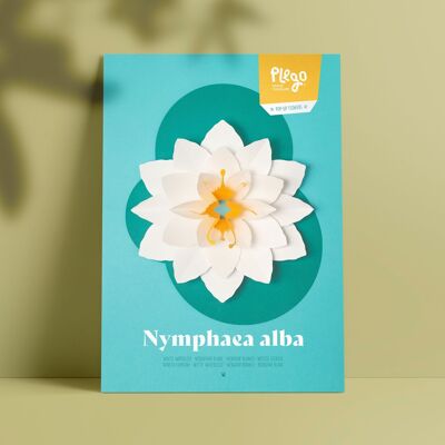 NYMPHAEA ALBA Pop-up-Papierset