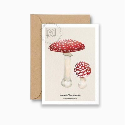 Carte postale Champignon Amanite Tue-mouches