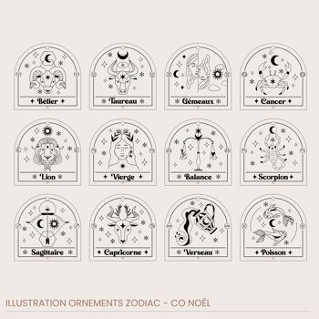 Ornements Zodiac plexi / Pack Implantation 3