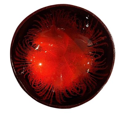Red feather lacquered coconut bowl