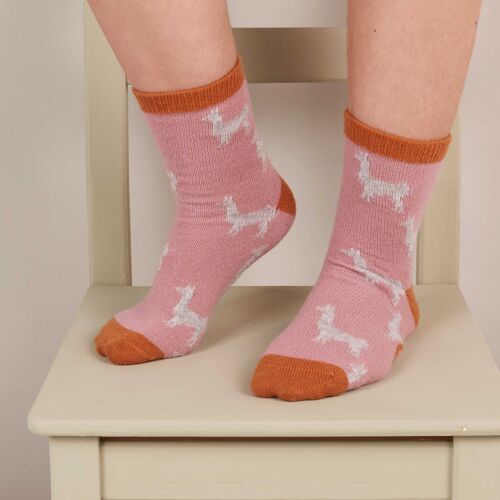 Women's Lambswool Ankle Socks - llamas - pink