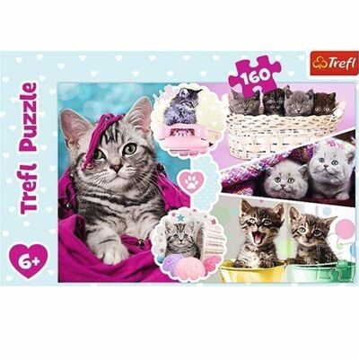 Kittens puzzle 160 pieces