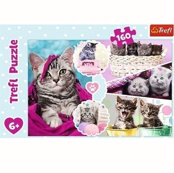 Puzzle chatons 160 pièces