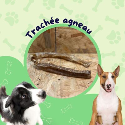 Lamm Trachea 250g Beutel / Leckerli für Hunde
