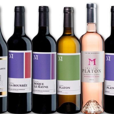 Caja de 6 Vinos de Viñedo Meynard