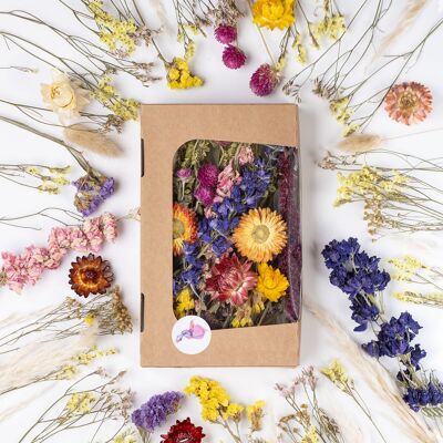 Flower Box - A sustainable gift in strong colors