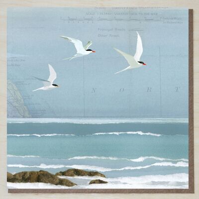 Sea Swallows' (coastal/seaside card)