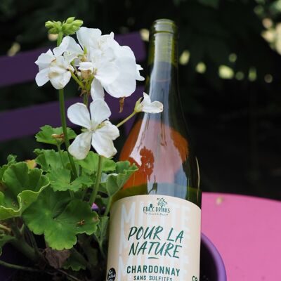 IGP Hérault Chardonnay Vin Méthode Nature et BIO 2022– Pour la nature EthicDrinks