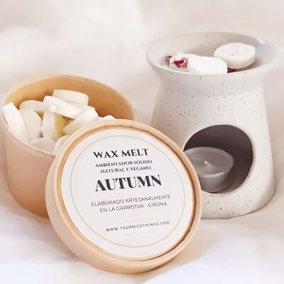 Wax Melt - cèdre et bois de santal - automne