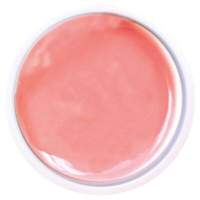 Mono gel 2.0 pink - 2x50g