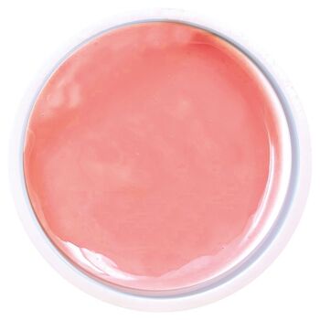 Mono gel 2.0 pink - 2x50g 1