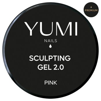 Sculpting gel 2.0 Pink x 15g 2