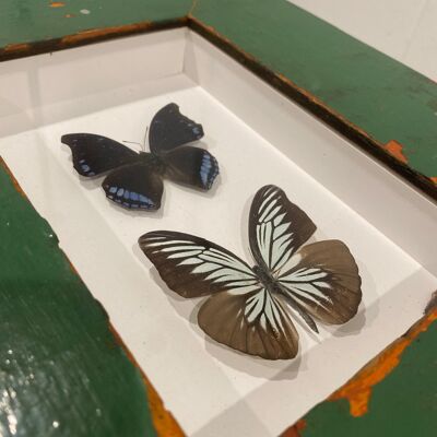 Mariposa - marco de madera (110.2)