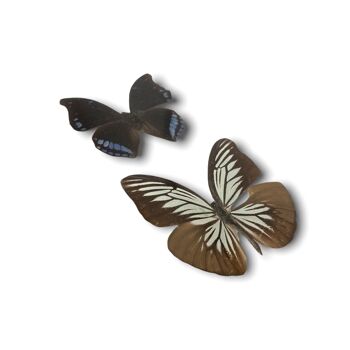 Papillon - cadre en bois (110.2) 2