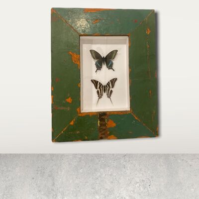 Mariposa - marco de madera (110,3)