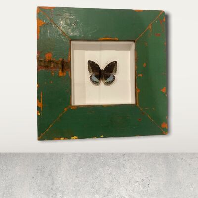 Mariposa - marco de madera (113.1)