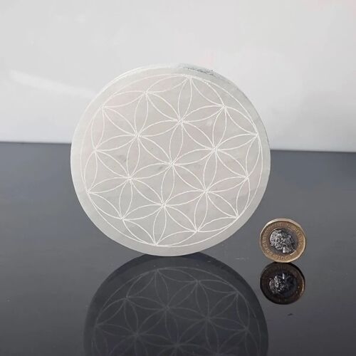 Etched Selenite Crystal Plate - Flower Grid