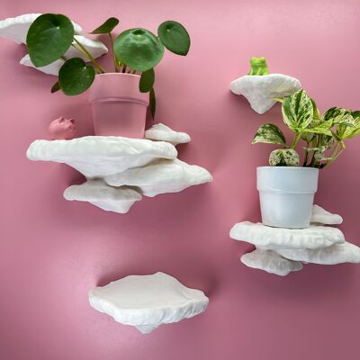 Tree sponge mushroom wall shelf set - for a natural wall decoration as a floating shelf set