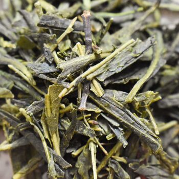 Sencha